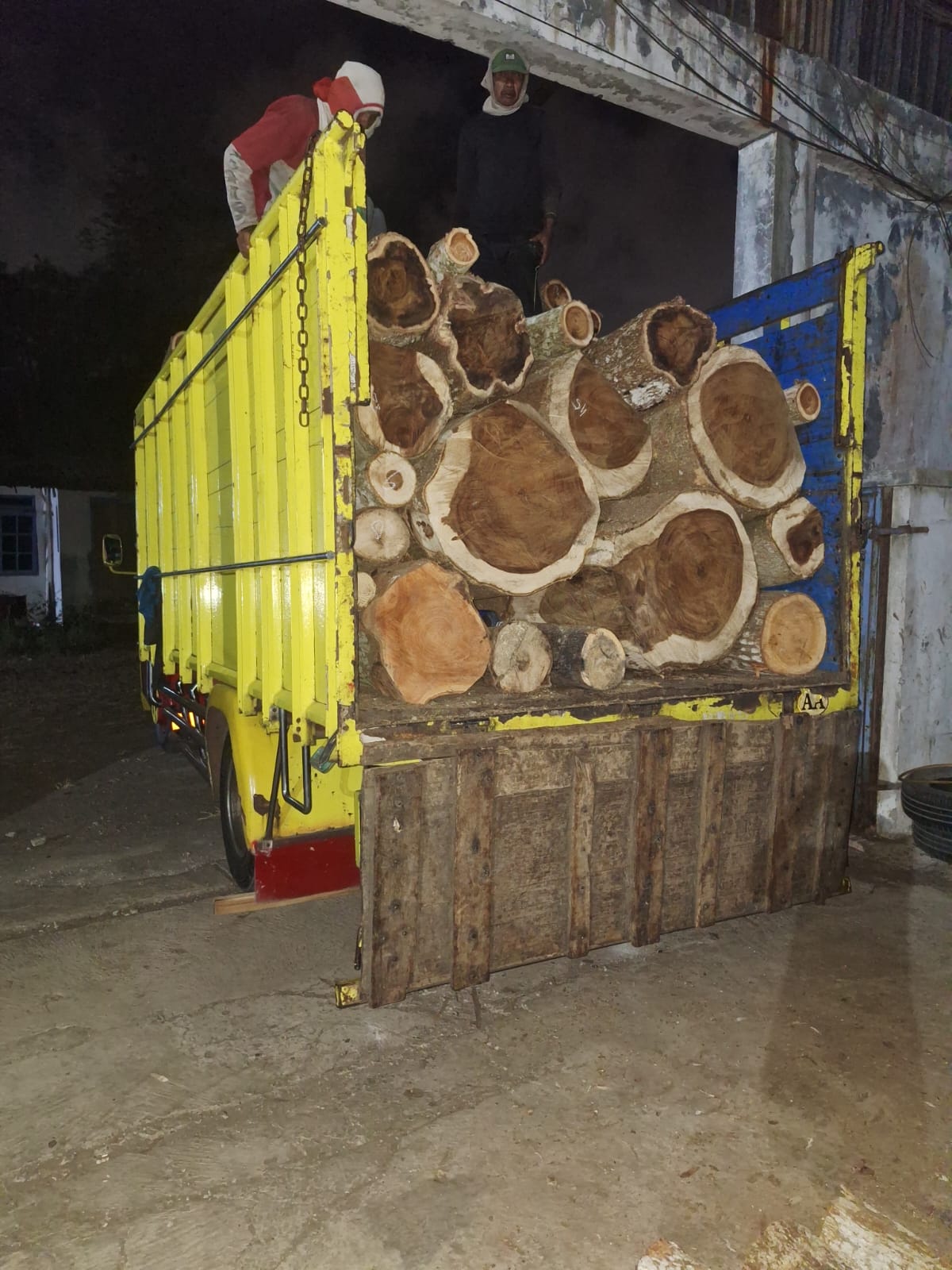 Acacia logs arriving by truck at the Indonesian factory